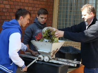 Szüreti mulatság a Hild iskolában - fotó: Ónodi Zoltán