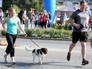 Fut a város - fotó: Sándor Judit