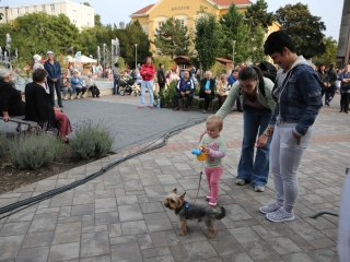 Magyarország, szeretlek! 2016 – Második nap - fotó: Ónodi Zoltán
