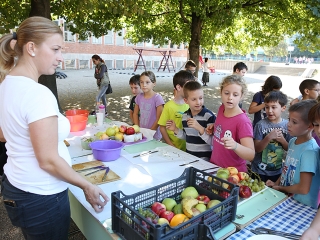 Őszi Kavalkád - fotó: Sándor Judit
