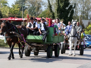 Szüreti felvonulás 2016 - fotó: 