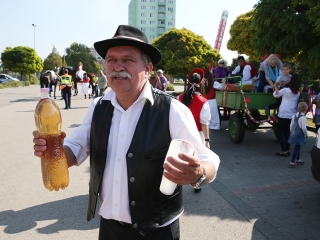 Szüreti felvonulás 2016 - fotó: 