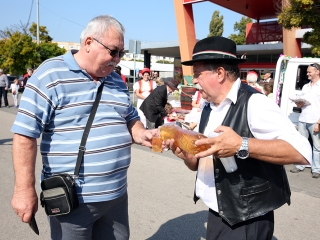 Szüreti felvonulás 2016 - fotó: 