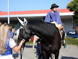 Szüreti felvonulás 2016 - fotó: 