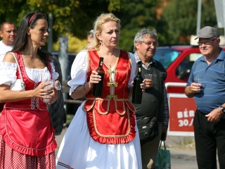 Szüreti felvonulás 2016 - fotó: 