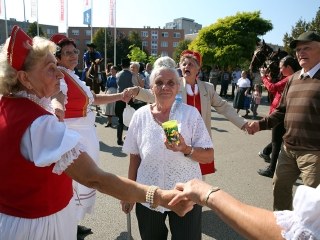 Szüreti felvonulás 2016 - fotó: 