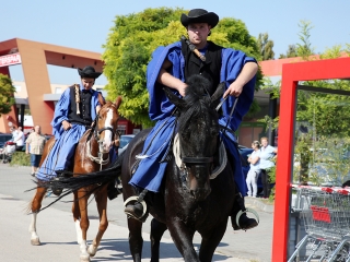 Szüreti felvonulás 2016 - fotó: 