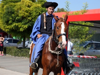 Szüreti felvonulás 2016 - fotó: 