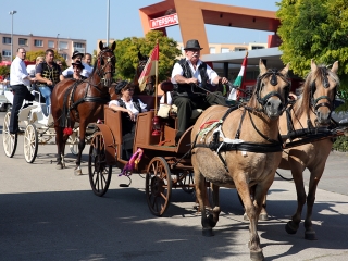 Szüreti felvonulás 2016 - fotó: 