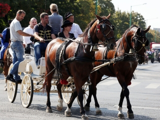 Szüreti felvonulás 2016 - fotó: 