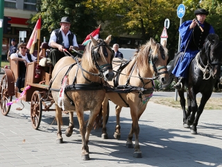 Szüreti felvonulás 2016 - fotó: 