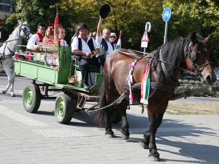 Szüreti felvonulás 2016 - fotó: 