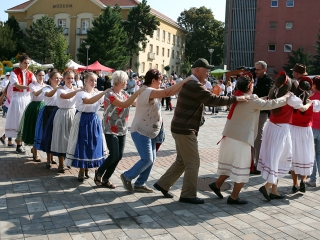 Szüreti felvonulás 2016 - fotó: 