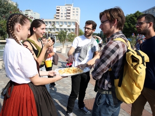 Szüreti felvonulás 2016 - fotó: 