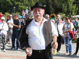 Szüreti felvonulás 2016 - fotó: 