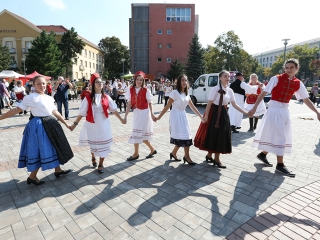 Szüreti felvonulás 2016 - fotó: 
