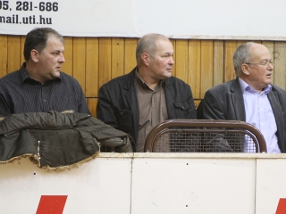 Kézilabda: lényeg a két pont - fotó: Sándor Judit