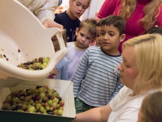Szüreti mulatság a Bóbita Óvodában - fotó: Ónodi Zoltán