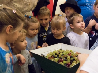 Szüreti mulatság a Bóbita Óvodában - fotó: Ónodi Zoltán