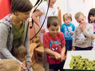 Szüreti mulatság a Bóbita Óvodában - fotó: Ónodi Zoltán