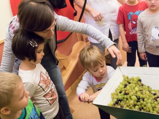 Szüreti mulatság a Bóbita Óvodában - fotó: Ónodi Zoltán