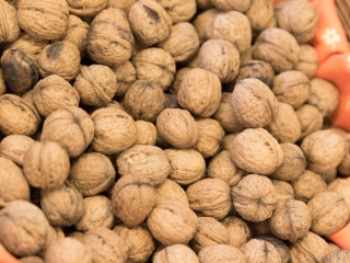 Szüreti mulatság a Bóbita Óvodában - fotó: Ónodi Zoltán