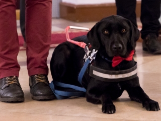 Brindza László kiállítása a Bartók Színházban - fotó: Ónodi Zoltán