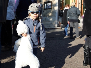 Figyelemfelhívó séta a mellrák ellen - fotó: Sándor Judit