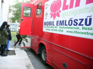 Figyelemfelhívó séta a mellrák ellen - fotó: Sándor Judit