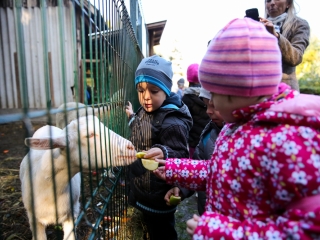 Állatok Világnapja- Ovisok az Arborétumban - fotó: Ónodi Zoltán