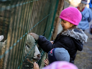 Állatok Világnapja- Ovisok az Arborétumban - fotó: Ónodi Zoltán