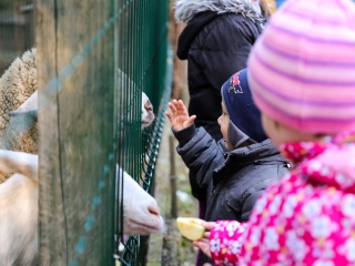 Állatok Világnapja- Ovisok az Arborétumban - fotó: Ónodi Zoltán