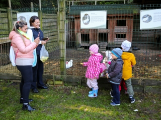 Állatok Világnapja- Ovisok az Arborétumban - fotó: Ónodi Zoltán