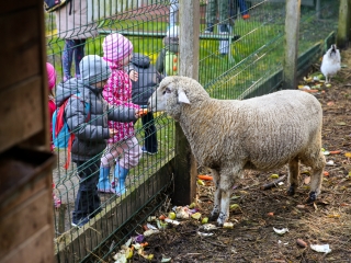 Állatok Világnapja- Ovisok az Arborétumban - fotó: Ónodi Zoltán
