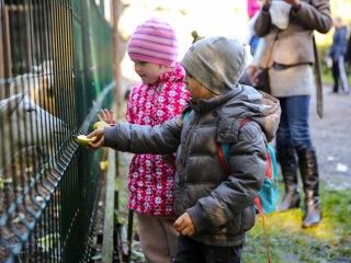 Állatok Világnapja- Ovisok az Arborétumban - fotó: Ónodi Zoltán