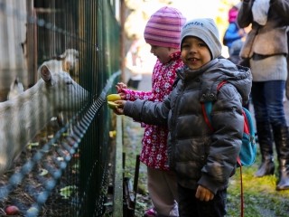 Állatok Világnapja- Ovisok az Arborétumban - fotó: Ónodi Zoltán