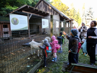 Állatok Világnapja- Ovisok az Arborétumban - fotó: Ónodi Zoltán