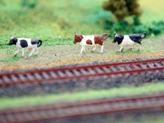 A modellvasút világa - fotó: Sándor Judit