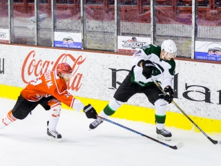 DAB - FTC 8-1 - fotó: Ónodi Zoltán