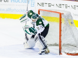 DAB - FTC 8-1 - fotó: Ónodi Zoltán