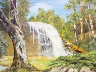 MMK Galéria: A természet szépsége az én szememmel - fotó: Ónodi Zoltán