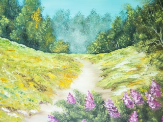 MMK Galéria: A természet szépsége az én szememmel - fotó: Ónodi Zoltán