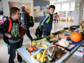 Petőfi Hét- Kerékpáros akadályverseny - fotó: Ónodi Zoltán