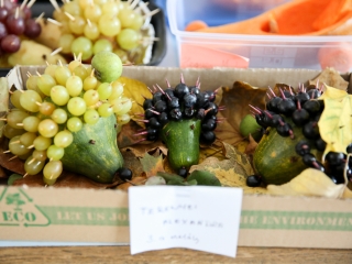 Petőfi Hét- Kerékpáros akadályverseny - fotó: Ónodi Zoltán