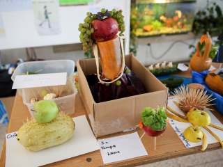 Petőfi Hét- Kerékpáros akadályverseny - fotó: Ónodi Zoltán