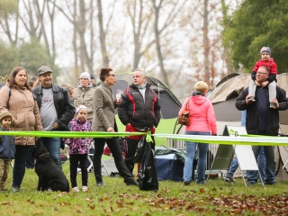 Nemzetközi CAC Kutyabemutató a kempingben - fotó: Ónodi Zoltán