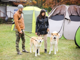 Nemzetközi CAC Kutyabemutató a kempingben - fotó: Ónodi Zoltán