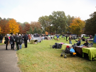 Nemzetközi CAC Kutyabemutató a kempingben - fotó: Ónodi Zoltán