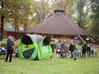 Nemzetközi CAC Kutyabemutató a kempingben - fotó: Ónodi Zoltán