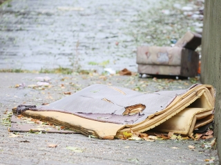 A zöld SZTK-ban jártunk - fotó: Sándor Judit